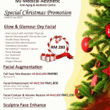 Special Christmas Promotion (until 31Jan2017)